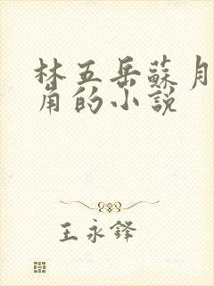林五岳苏月灵主角的小说