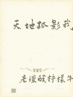 天地孤影我独行