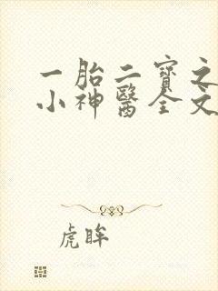 一胎二宝之弃妃小神医全文免费阅读