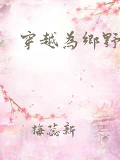 穿越为乡野寡妇