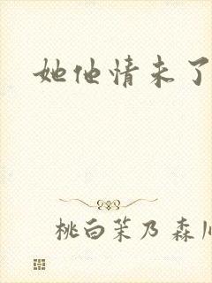 她他情未了