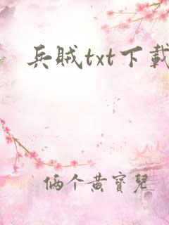 兵贼txt下载