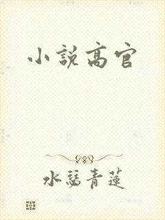 小说高官