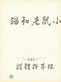 猫和老鼠小说
