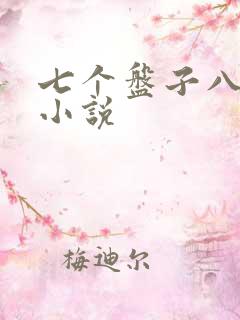 七个盘子八个碗小说