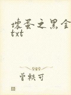 坏蛋之黑金帝国txt