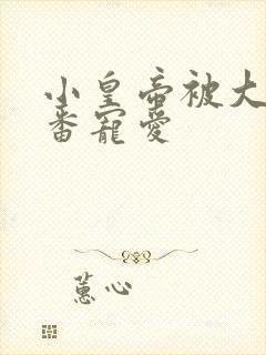 小皇帝被大臣轮番宠爱