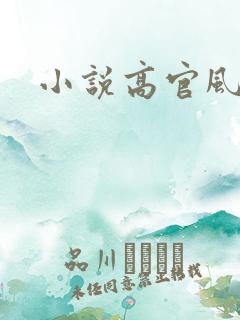 小说高官风流