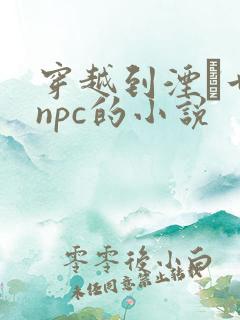 穿越到湮婸世界npc的小说