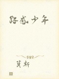 路感少年