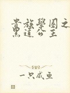 贵族学园之我的黑道公主