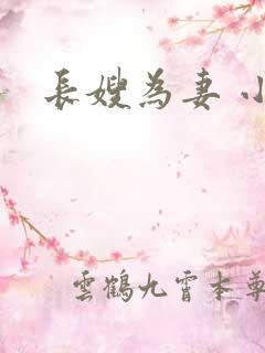 长嫂为妻 小说