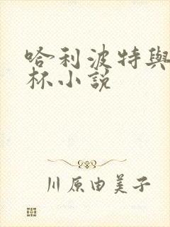 哈利波特与火焰杯小说