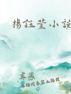 杨钰莹小说阅读