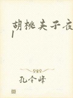 胡桃夹子夜未眠1