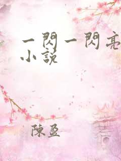 一闪一闪亮晶晶小说