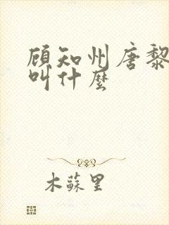 顾知州唐黎书名叫什么