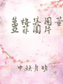 万格集团董事李亚菲图片