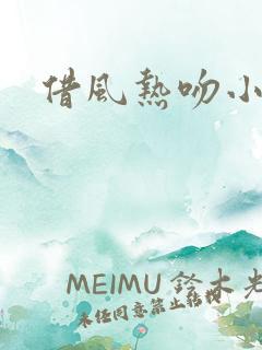 借风热吻小神明