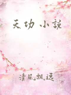 天功 小说