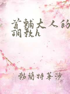 首辅大人的花式调教h