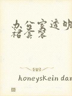 办公室透明半身裙套装