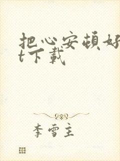 把心安顿好txt下载