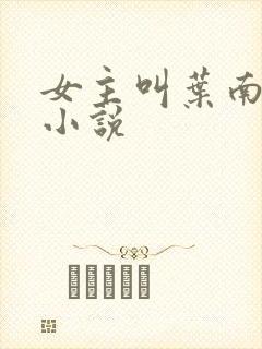 女主叫叶南初的小说