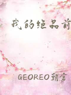 我的绝品前妻
