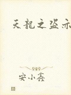 天龙之盗亦有道