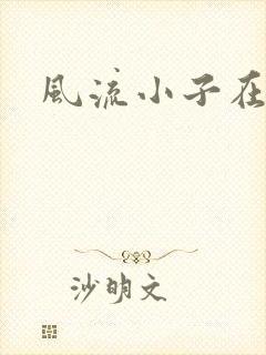 风流小子在异世