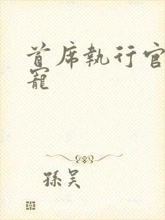 首席执行官的绝宠