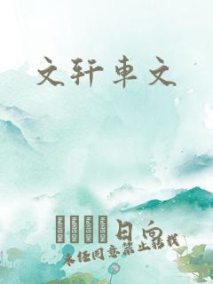 文轩车文