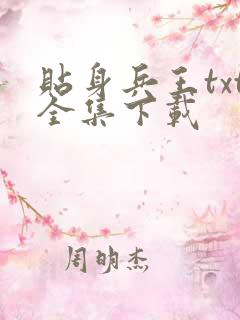 贴身兵王txt全集下载
