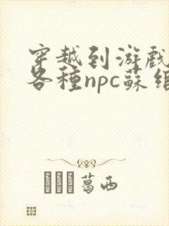 穿越到游戏里和各种npc苏绾