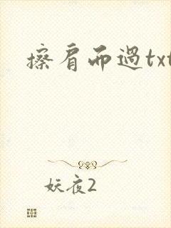 擦肩而过txt