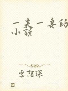 一夫一妻的玄幻小说