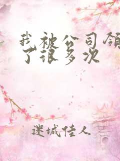 我被公司领导C了很多次