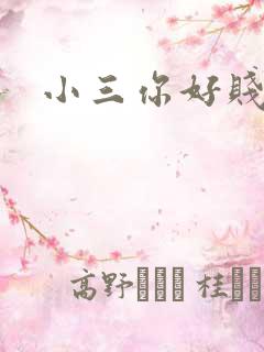 小三你好贱下载