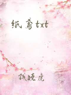 纸鸢txt