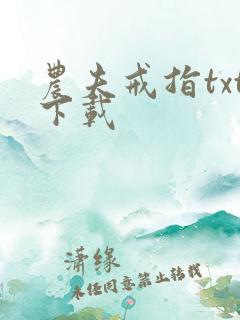 农夫戒指txt下载