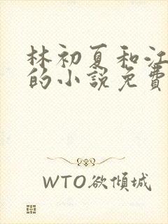 林初夏和江未寒的小说免费阅读