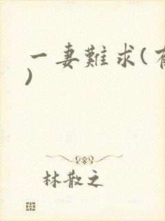 一妻难求(有肉)