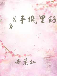 《手机里的秘密》