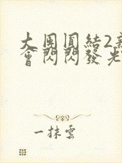 大团圆结2亲情会闪闪发光目录