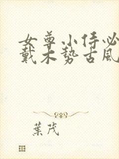 女尊小侍必须佩戴木势古风
