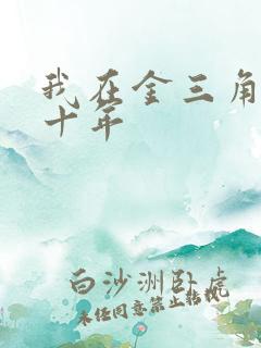 我在金三角卧底十年