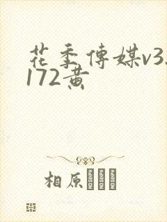 花季传媒v3.172黄