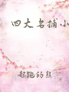 四大名捕小说