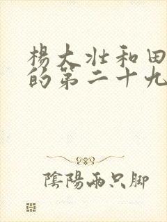 杨大壮和田桂花的第二十九